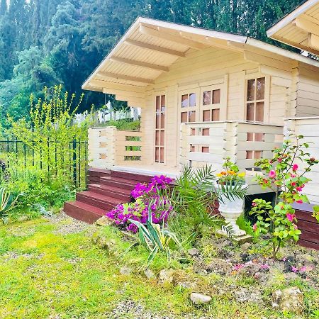 Vacation Home Apsar New Athos Kültér fotó